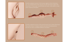 Load image into Gallery viewer, Real Hip Hera 1:1- Flesh. - Beautiful Stranger 2020