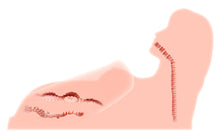 Load image into Gallery viewer, Koko's Silicone Love Doll Real Hera 3. - Beautiful Stranger 2020